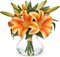 Tiger Lily Fall Flower Arrangement in Glass Vase – Real-Touch Orange Silk Flowers with Faux Water for Autumn Home Decor, Centerpiece & Seasonal Decorations